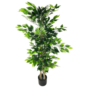 Artificial Ficus Tree with Natural Trunk