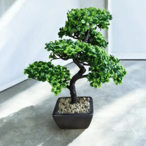 Bonsai Tree Decoration